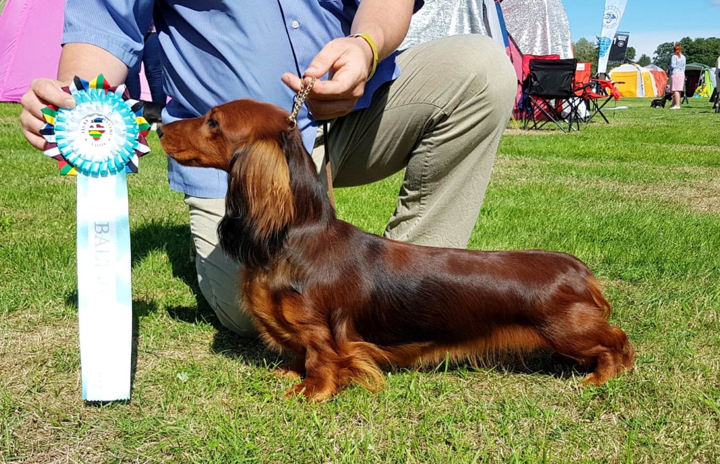 huntaks Kiara solar queen