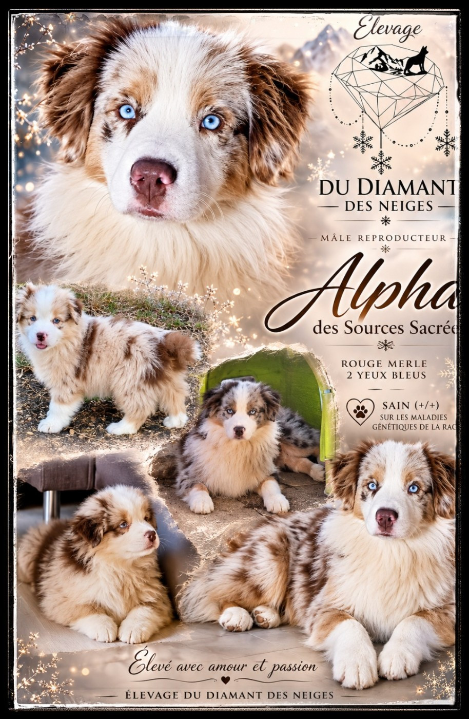 Publication : Du Diamant Des Neiges  