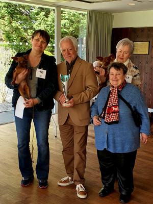 Étalon Russkiy Toy (Petit Chien Russe) - Artemis By Bidule