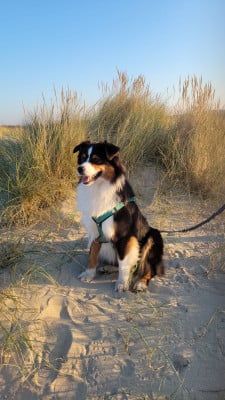 Thé way to london of blue highway 