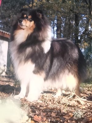 U're Enissa de Remember our Love