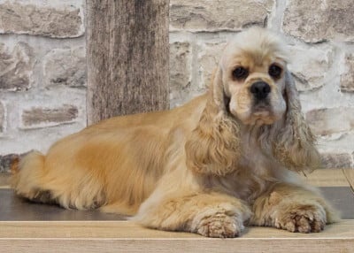 rainbow colors Sailor moon