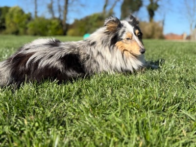 Voilà Louise Du Domaine Des Embruns Salés