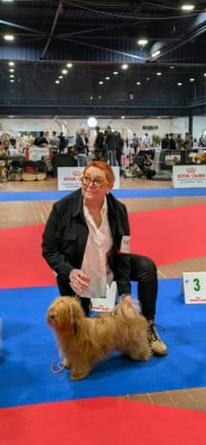 image de Victoire Du Rocher de La Haute Vilaine