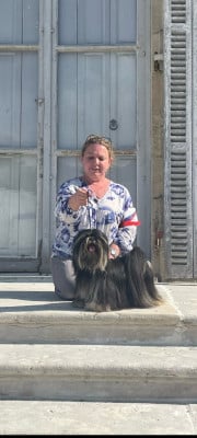 CH. tai fanza sugar rally