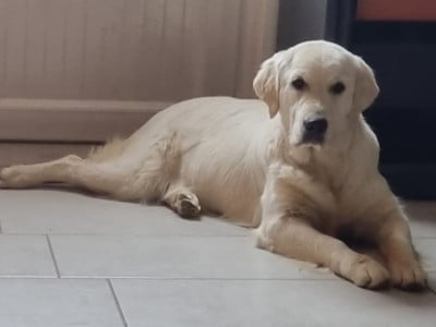 tchin tchin master of water