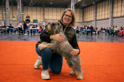 Étalon Schnauzer - CH. Peaky Blinder du Domaine De Pierremarie