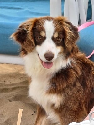 VENUS des touches noires