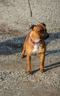 Upsi Of Secret's Sources