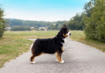 image de Unlimited temptation