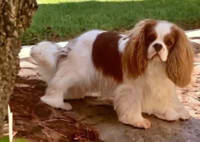 CH. TURN AROUND De la geode