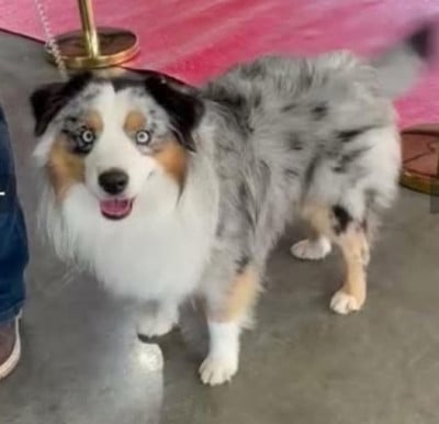 vvonka du domaine de nelson