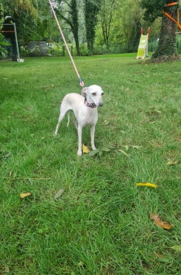 Vita de la vallée de venus