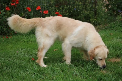 Touraine Des Gardiennes De La Vallée Du Cher