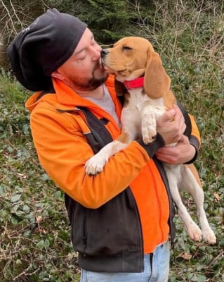 Étalon Beagle - Visenya De L’Equipage Des Deux Frères