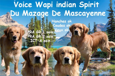image de Voice indian Spirit wapi
