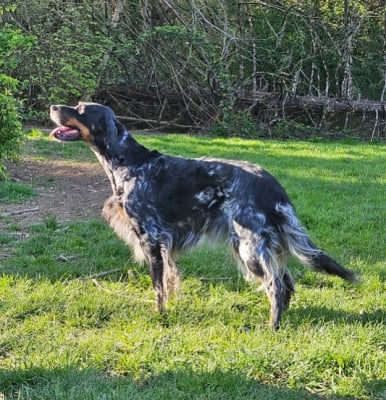 image de Sally