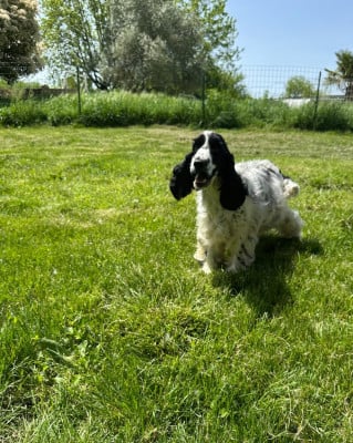 VERA du Clos Noentine