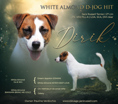 image de D-jOG HIT