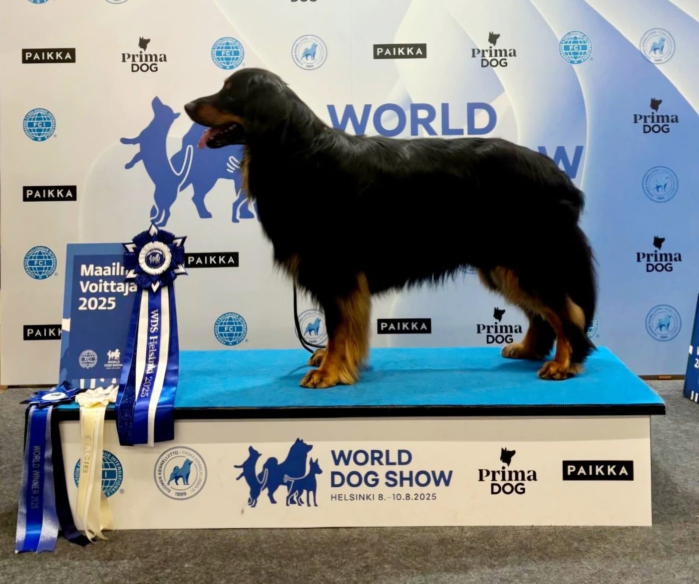 CH. WDS ALPHA HOFMACHER