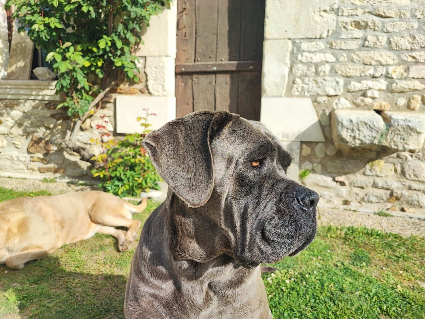 Publication : Des Gardiens De Brenne 