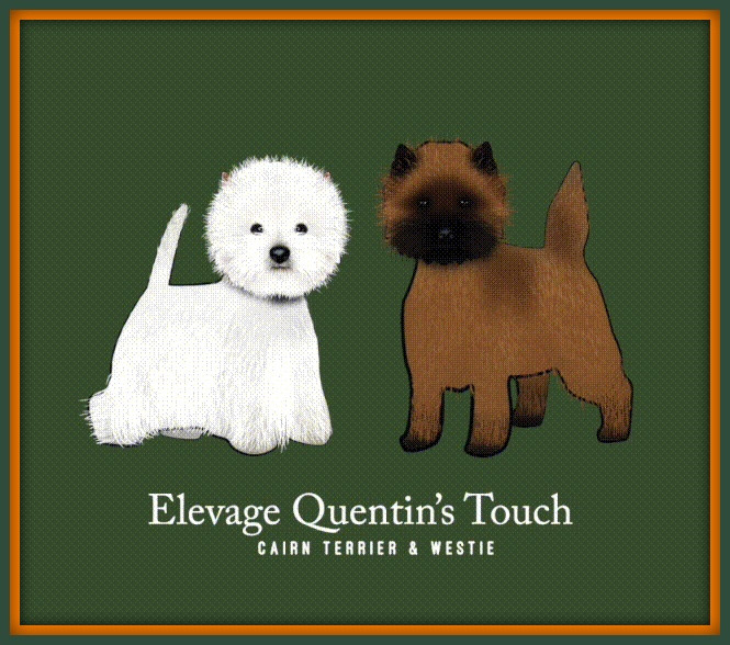 Publication : Quentin's Touch