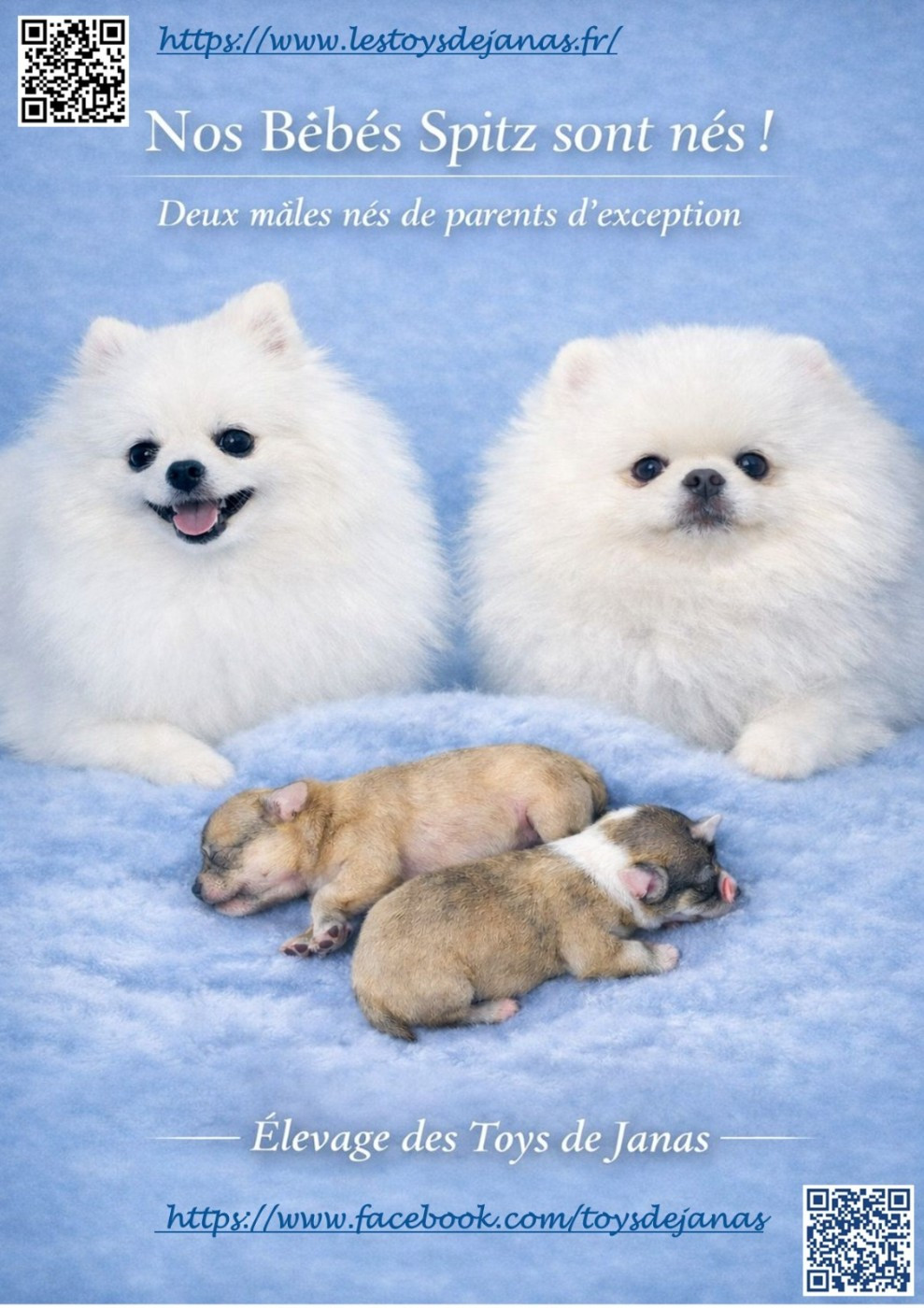 Publication : Des Toys De Janas 