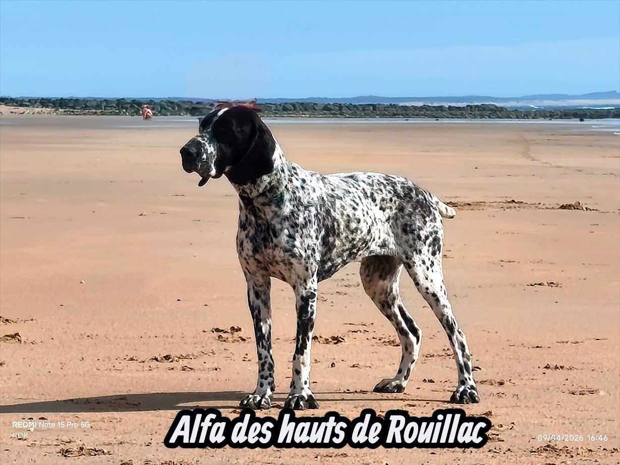 Publication : des hauts de rouillac Auteur : JLV