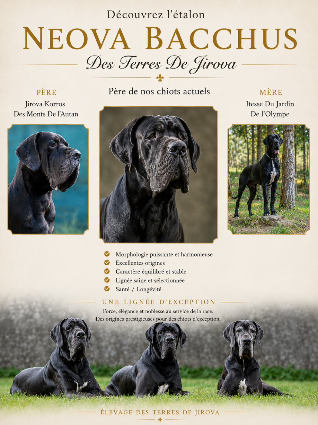 Publication : Des Terres De Jirova 