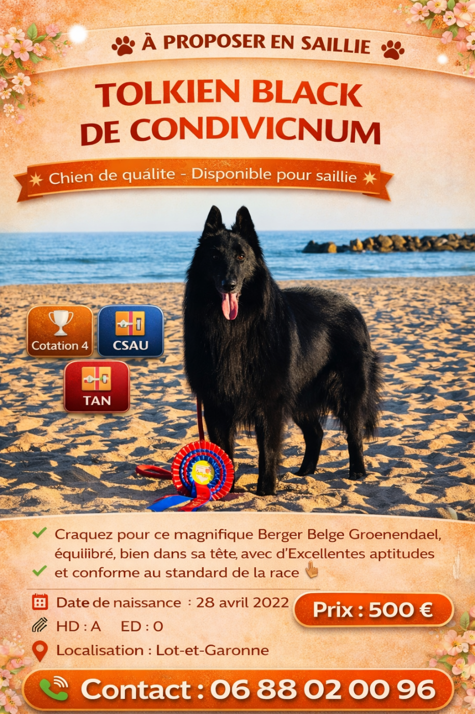 Publication : Les Bergers Anges Et Démons