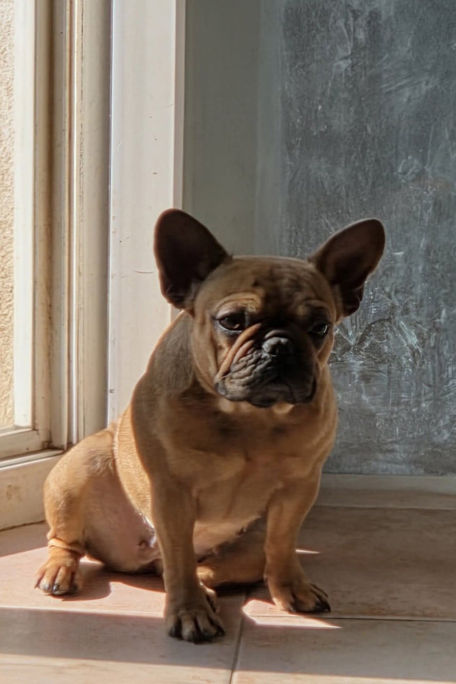 Publication : De La Riviere De Sunny