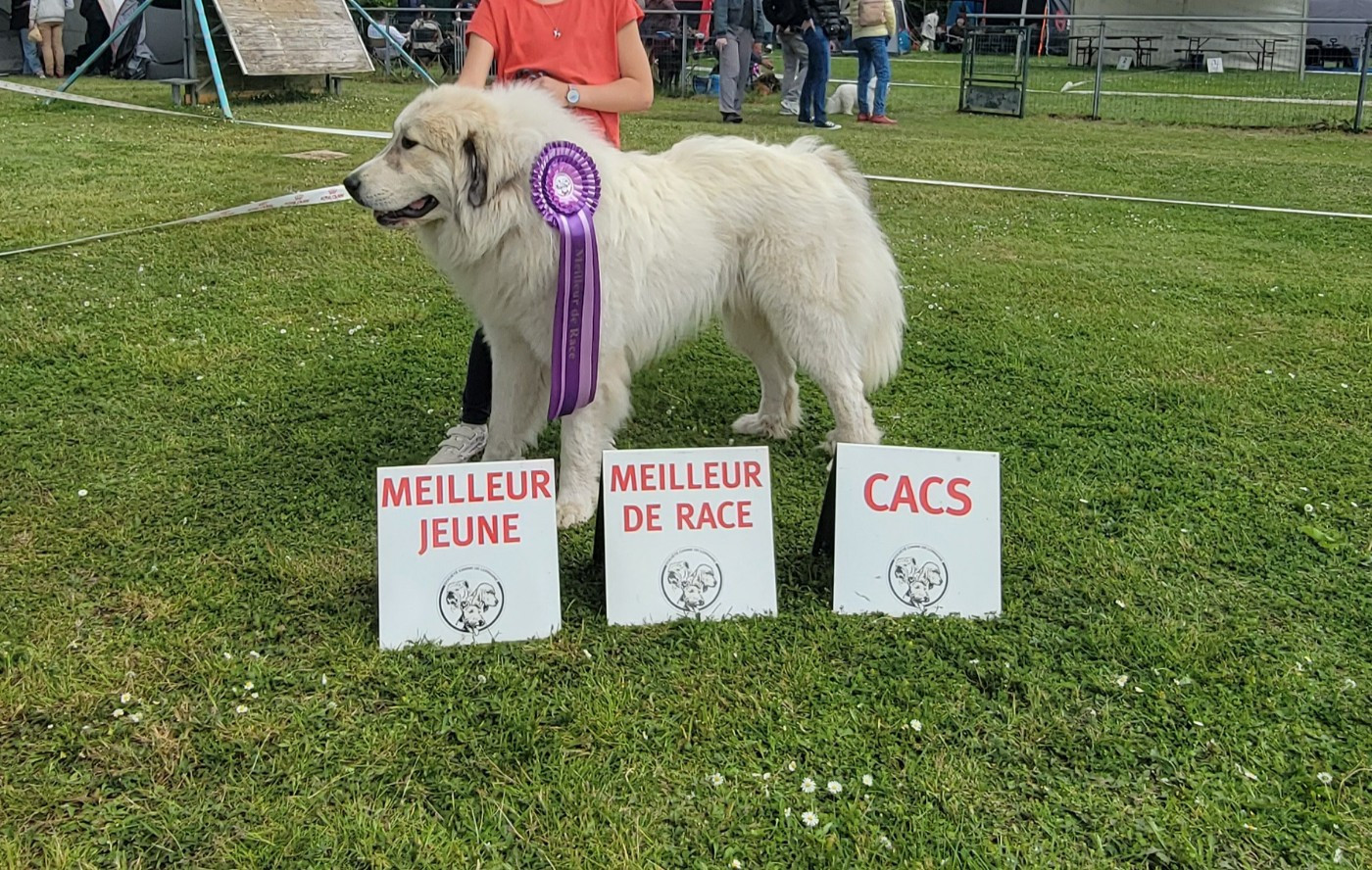 Publication : De L’Echo Des Vosges Pattes