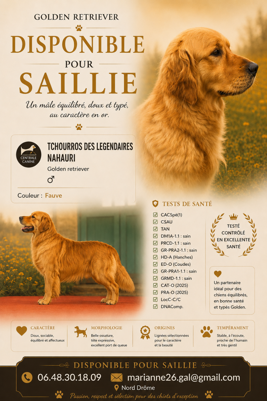 Publication : de la Colline du Coeur de Feu 