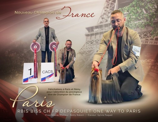 CH. depasquiet One way to paris