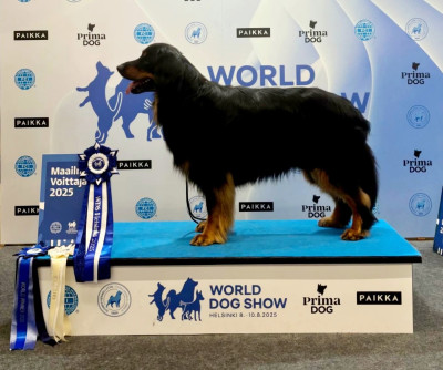 image de WDS HOFMACHER ALPHA