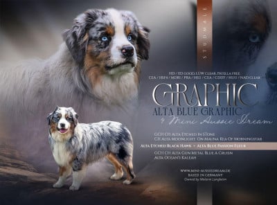 image de Blue Graffic