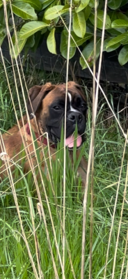 theo les sources du miehlweg