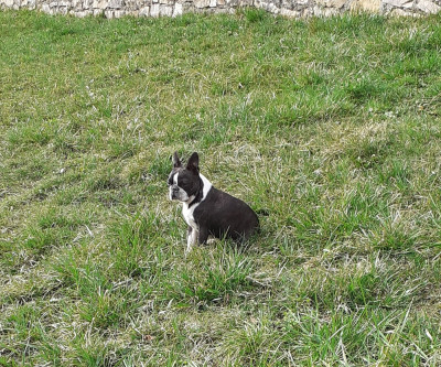 image de Vickie