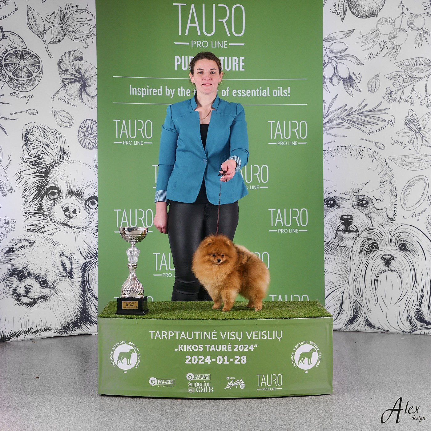Publication : Pom Of The Gang Auteur : Tauro Kennel JP