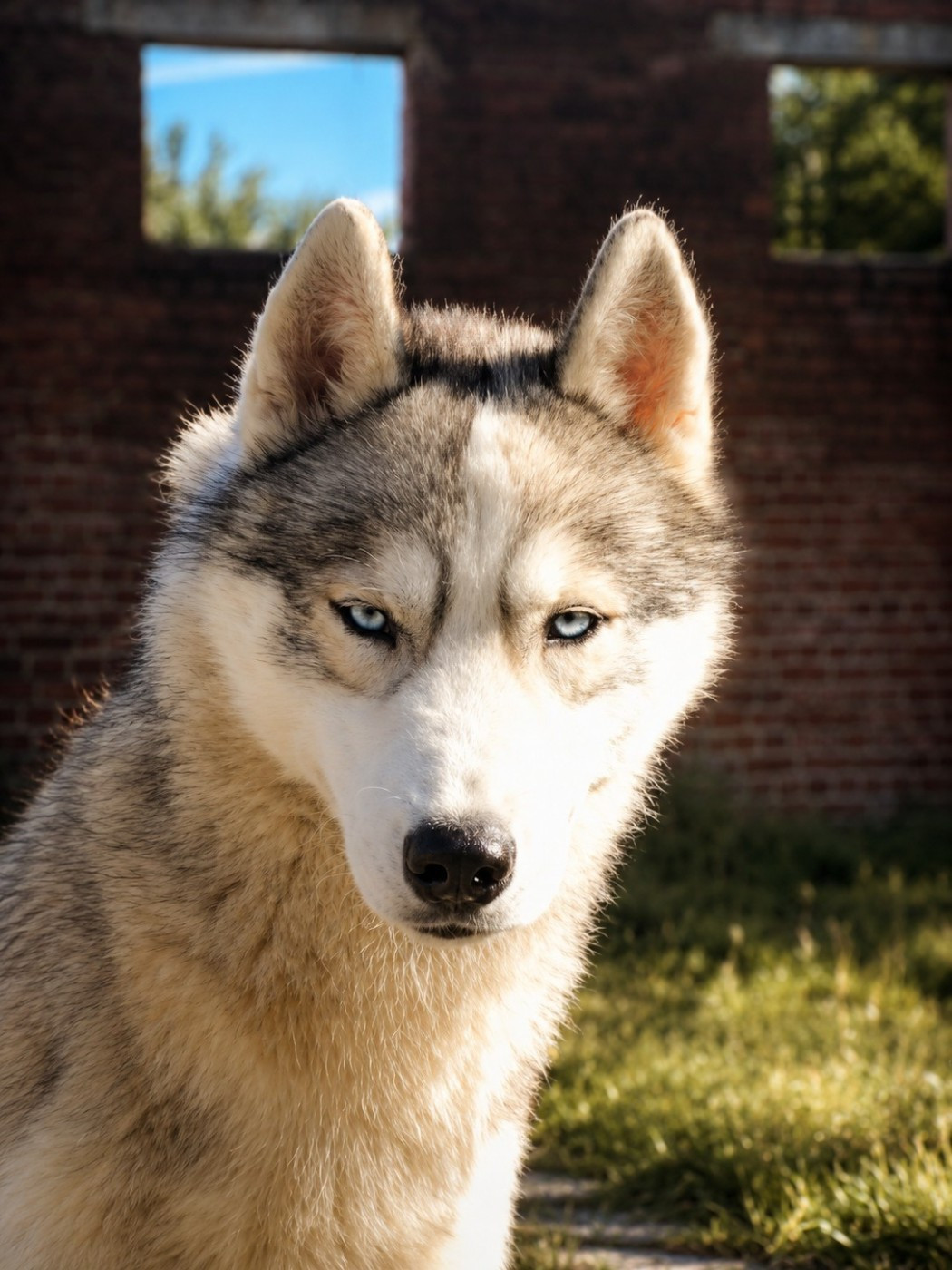 Publication : (Sans Affixe)