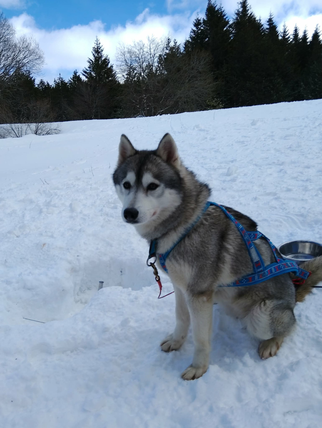 Publication : Hunvre Di Neve  