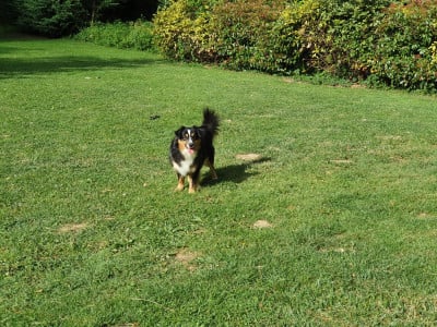 Olia Des bonnes bouilles