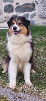 Opal Aussie THINK I'M UNIQUE