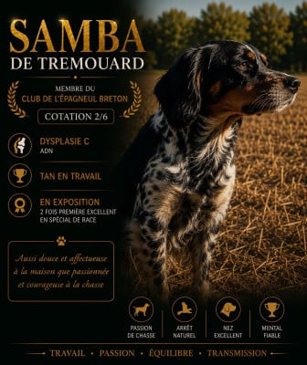 Samba De tremouard