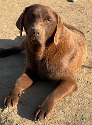 image de Vasko