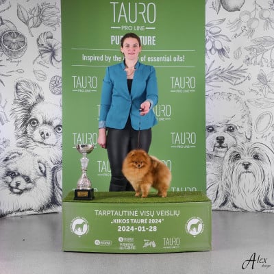 CH. tauro kennel jp Kirilas