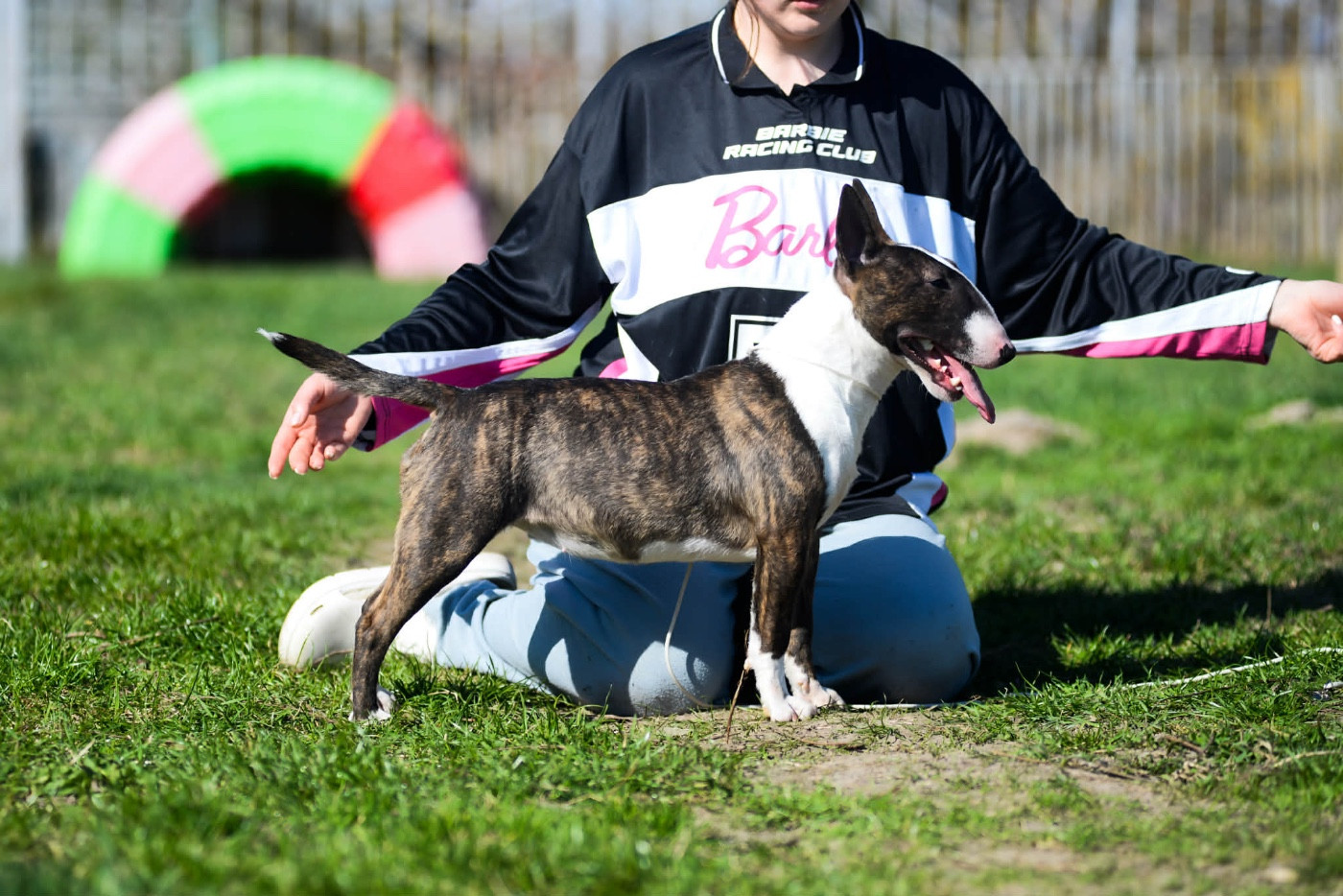 Publication : Des Minis De Belzebulls