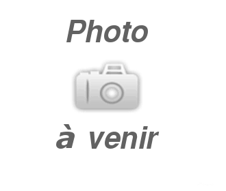 Publication : Des Australiens d'Epona 
