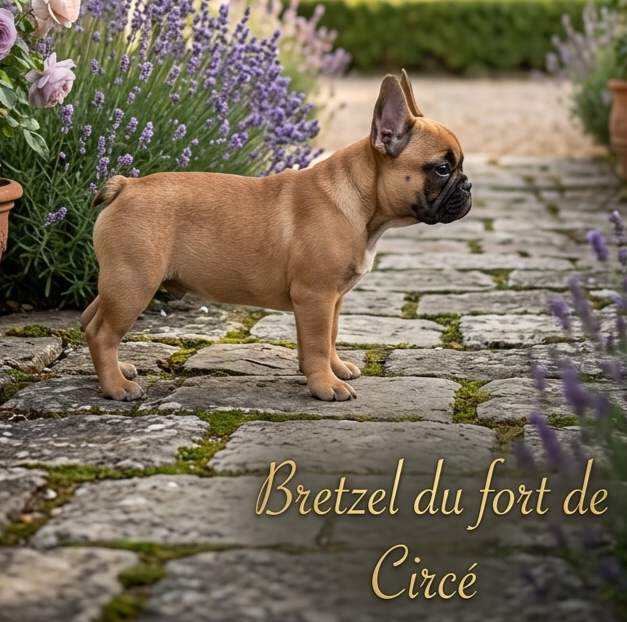 Publication : du clos des voinauds  