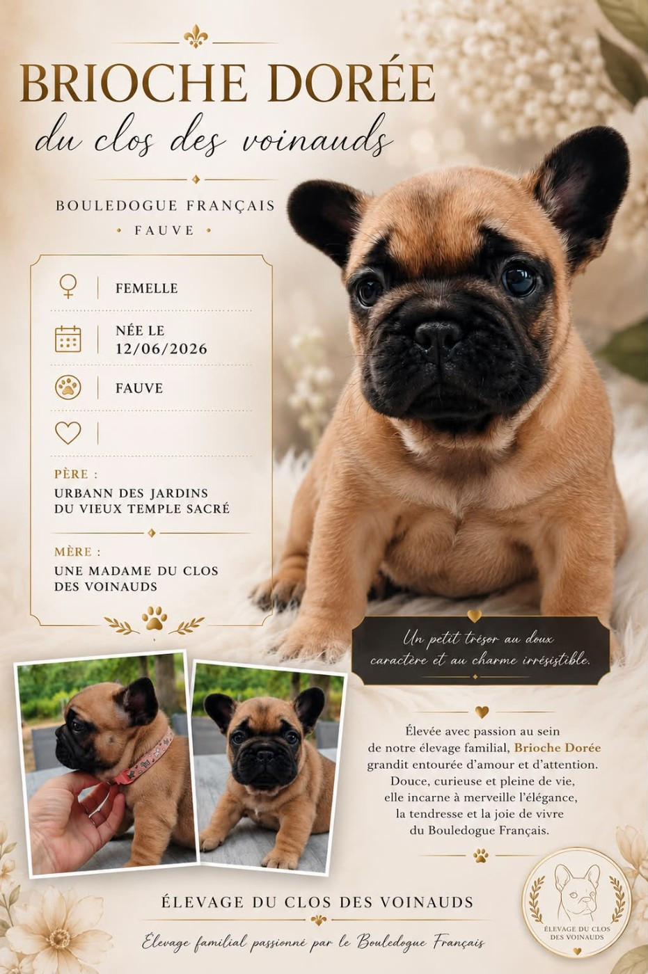 Publication : du clos des voinauds  